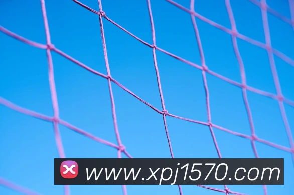 xpj品牌故事